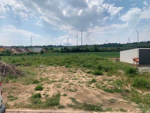 Foto - Grundstück zu verkaufen in Wachenheim 214.000,00 € 576 m²