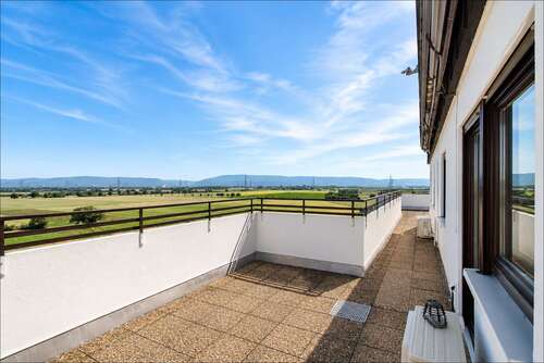 Foto - Wohnung zum Kaufen in Oftersheim 690.000,00 € 186 m²