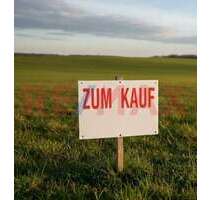 Grundstück zu verkaufen in Monsheim 290.000,00 € 644 m²