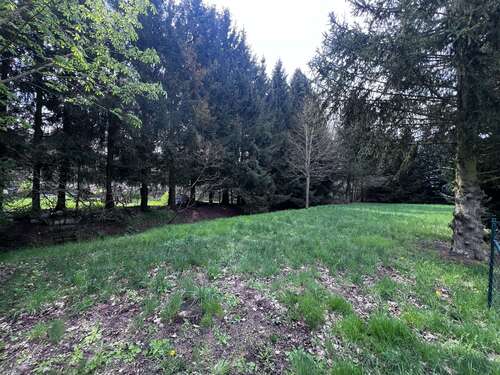 Foto - Grundstück zu verkaufen in Bad Schmiedeberg 40.000,00 € 1109 m²