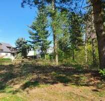 Grundstück in Pöhlau 59.000,00 € 1250 m²