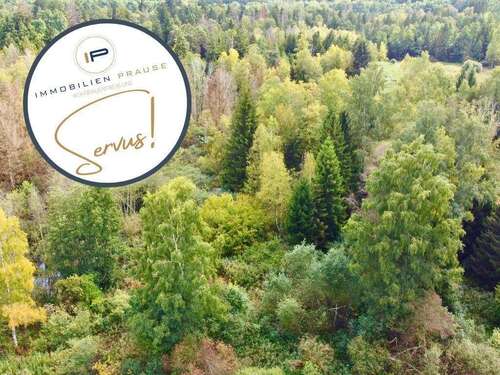 Foto - Grundstück zu verkaufen in Eresing 19.900,00 € 3990 m²