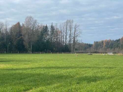 Foto - Grundstück zu verkaufen in Rosenheim 649.000,00 € 1000 m²