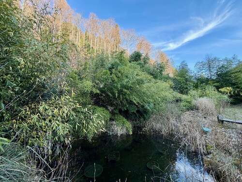 Foto - Haus zum Kaufen in Oberried 750.000,00 € 292 m²