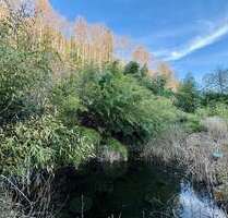 Haus zum Kaufen in Oberried 750.000,00 € 292 m²