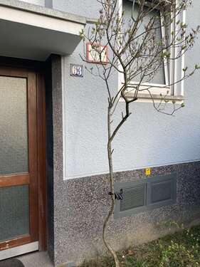 Foto - Wohnung zum Mieten in Köln 500,00 € 18 m²