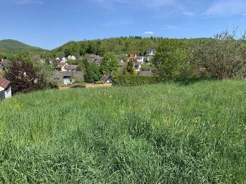 Foto - Grundstück zu verkaufen in Sailauf 299.000,00 € 804 m²