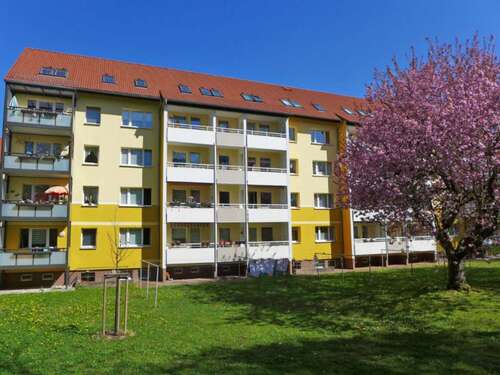 Foto - Wohnung zum Mieten in Limbach-Oberfrohna 360,00 € 67.38 m²