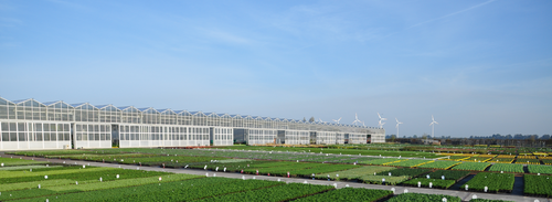 Foto - Grundstück in Bedburg 1.250.000,00 € 59334 m²