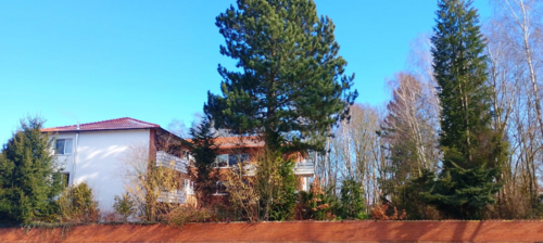 Foto - Haus zum Kaufen in Duderstadt 990.000,00 € 885 m²