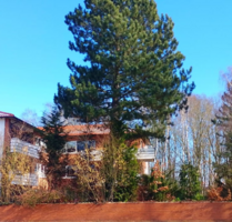 Haus zum Kaufen in Duderstadt 990.000,00 € 885 m²