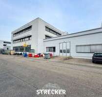 Halle in Königsbach-Stein 8.600.000,00 € 13500 m²