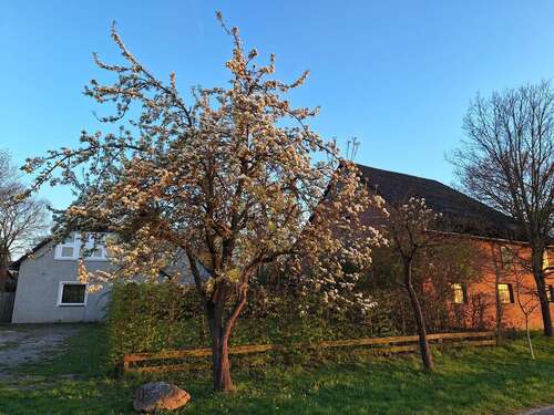 Foto - Haus zum Kaufen in Wittingen 260.000,00 € 245 m²