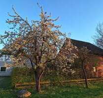 Haus zum Kaufen in Wittingen 260.000,00 € 245 m²