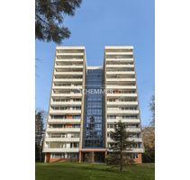 Wohnung zum Kaufen in Freiburg im Breisgau 345.000,00 € 80.3 m²