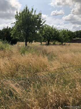 Foto - Haus zum Kaufen in Plön 425.000,00 € 115.39 m²