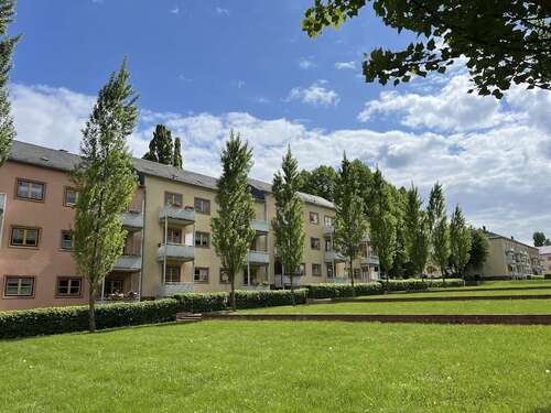 Foto - Wohnung zum Mieten in Chemnitz 280,00 € 51.14 m²