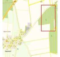 Grundstück in Kammerstein 54.500,00 € 10840 m²