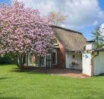 Haus zum Kaufen in DrochtersenDornbusch 419.000,00 € 150 m² - Drochtersen/Dornbusch