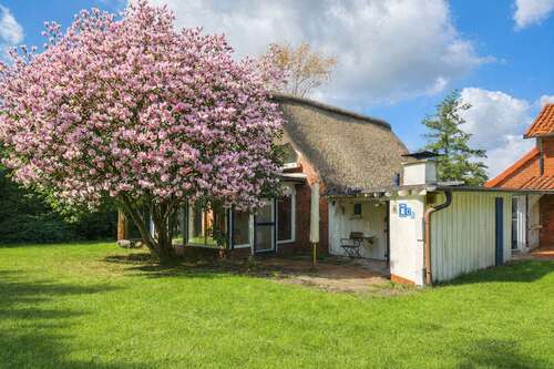 Foto - Haus zum Kaufen in DrochtersenDornbusch 419.000,00 € 150 m²