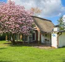 Haus zum Kaufen in DrochtersenDornbusch 419.000,00 € 150 m² - Drochtersen/Dornbusch