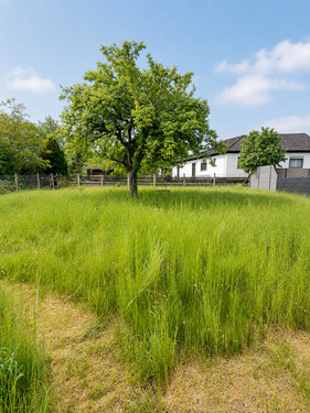 Foto - Grundstück zu verkaufen in Roßtal 219.000,00 € 510 m²