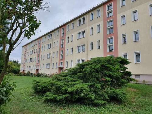 Foto - Wohnung zum Mieten in Crimmitschau 264,00 € 46.39 m²