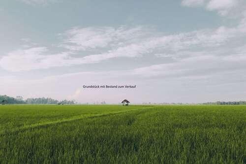 Foto - Haus zum Kaufen in Hamburg 899.900,00 € 220 m²