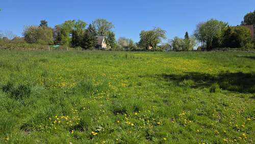 Foto - Grundstück in Schellerten - Garbolzum 249.000,00 € 7458 m²