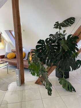 Foto - Wohnung zum Mieten in Bad Liebenzell 795,00 € 74.97 m²