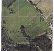 Spezialgewerbe in Osterburg (OT Walsleben) 223.000,00 € 0 m²