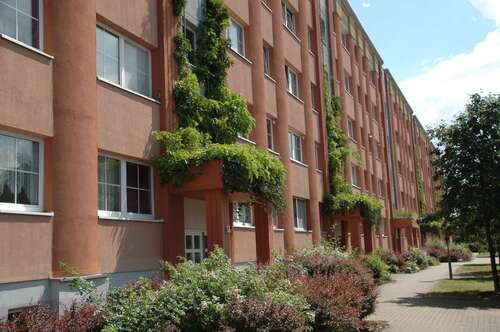 Foto - Wohnung zum Mieten in Schwerin 355,00 € 47.14 m²