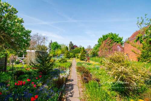 Foto - Haus zum Kaufen in Osterweddingen 119.000,00 € 107.54 m²