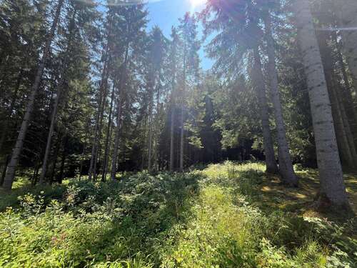 Foto - Grundstück in Lengenwang 44.000,00 € 9480 m²