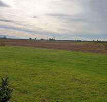 Haus zum Kaufen in Rheinmünster 449.000,00 € 137 m²