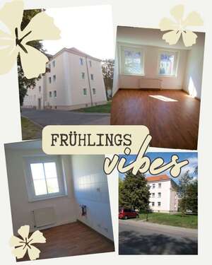 Foto - Wohnung zum Mieten in Braunsbedra 358,00 € 59.6 m²