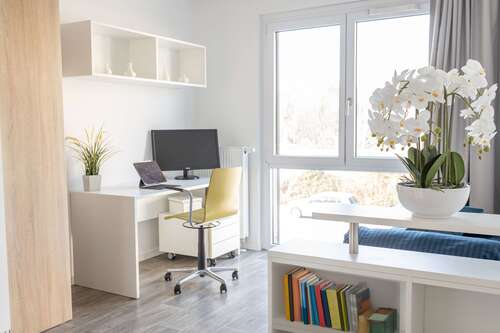 Foto - Wohnen auf Zeit in Potsdam 895,00 €