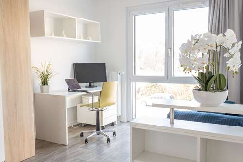 Foto - Wohnen auf Zeit in Potsdam 845,00 €