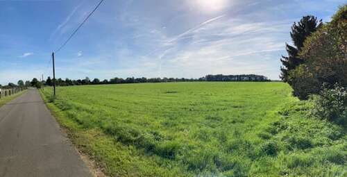 Foto - Grundstück zu verkaufen in Borna 299.000,00 € 1251 m²