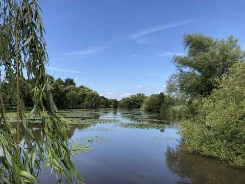 Foto - Wohnung zum Kaufen in Wedel 129.000,00 € 53.69 m²