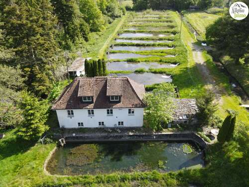 Foto - Haus zum Kaufen in Ochsenhausen 1.180.000,00 € 140 m²