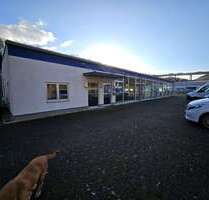 Halle in Niederzissen 1.790,00 € 330 m²