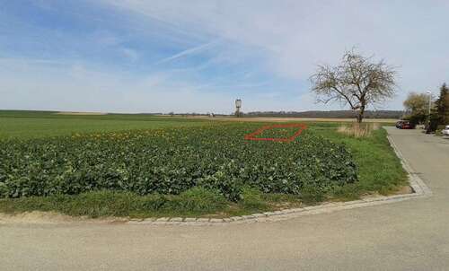 Foto - Grundstück zu verkaufen in Altdorf 375.000,00 € 383 m²