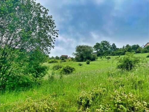 Foto - Grundstück in Maroldsweisach 35.000,00 € 23089 m²