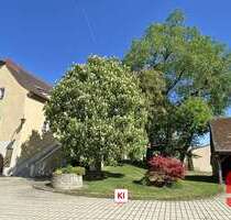 Haus zum Kaufen in Frankenwinheim 530.000,00 € 230 m²