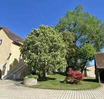 Haus zum Kaufen in Frankenwinheim 559.000,00 € 230 m²