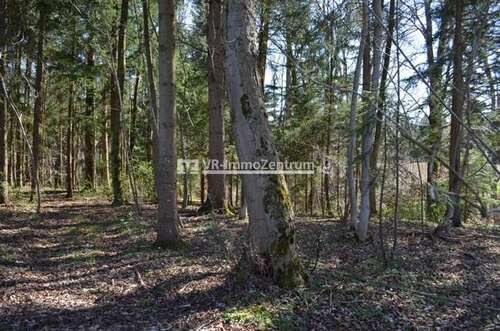 Foto - Spezialgewerbe in Windach 35.000,00 € 5337 m²