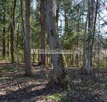 Spezialgewerbe in Windach 35.000,00 € 5337 m²