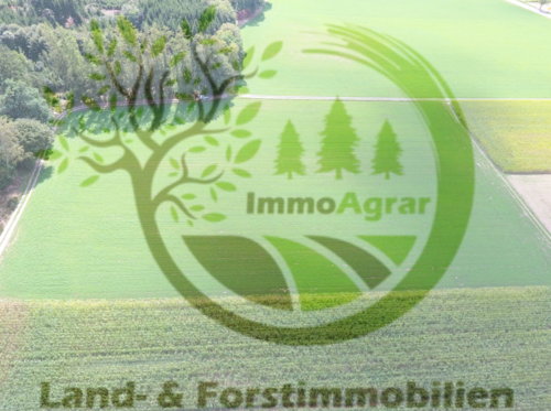 Foto - Grundstück in aletshausen 100.000,00 € 14230 m²