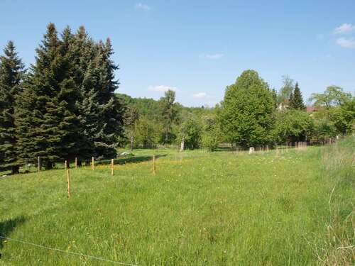 Foto - Grundstück zu verkaufen in Limbach-Oberfrohna 58.000,00 € 1000 m²